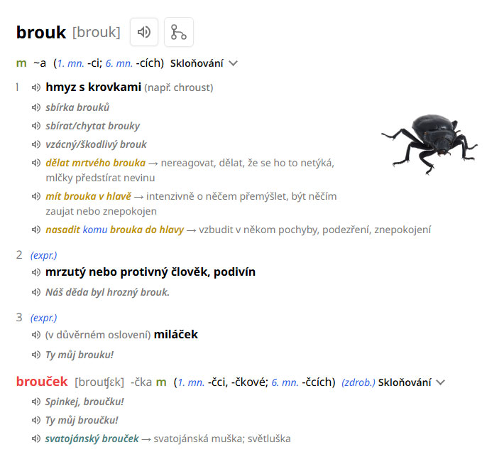 Slovník současné češtiny